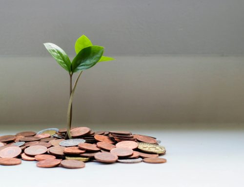 New Procedures of Tax Audit Effective from 14 February 2025