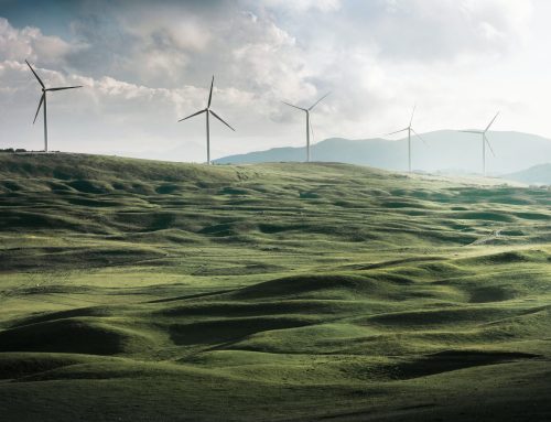 New Provisions from DJP – PER-11/PJ/2025